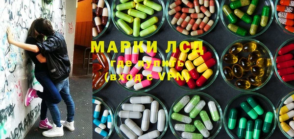ГАЛЛЮЦИНОГЕННЫЕ ГРИБЫ Балахна