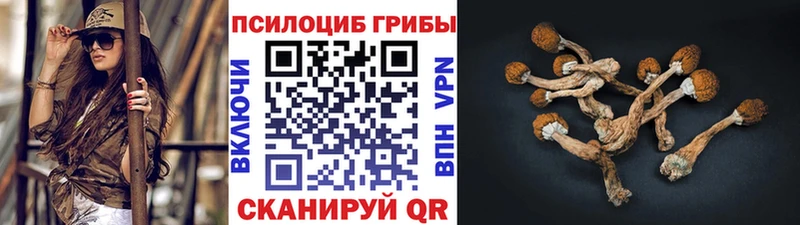Псилоцибиновые грибы прущие грибы  как найти   Новодвинск 