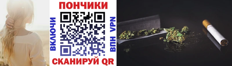 даркнет как зайти  hydra ТОР  Новодвинск  наркотики  Шишки марихуана семена 